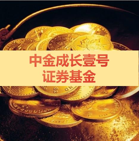 中金成长壹号私募证券投资基金